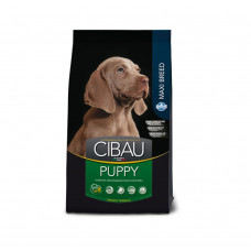 CIBAU 2,5 кг Maxi breed PUPPY для щенков крупных пород, с курицей 