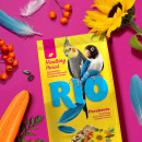 Корм для птиц Rio 500г для средних попугаев в период линьки Корм для птиц Rio 500г для средних попугаев в период линьки