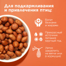 Лакомство Rio Арахис в сетке Лакомство Rio Арахис в сетке