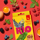 RIO Бисквиты с лесными ягодами. Лакомство для всех видов птиц, 5х7 г RIO Бисквиты с лесными ягодами. Лакомство для всех видов птиц, 5х7 г