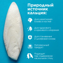 RIO Кость сепии, размер XL, 1шт RIO Кость сепии, размер XL, 1шт
