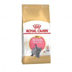 Royal Canin Kitten British Shorthair 400 г для котят породы британская гладкошерстная