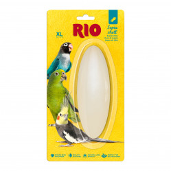 RIO Кость сепии, размер XL, 1шт